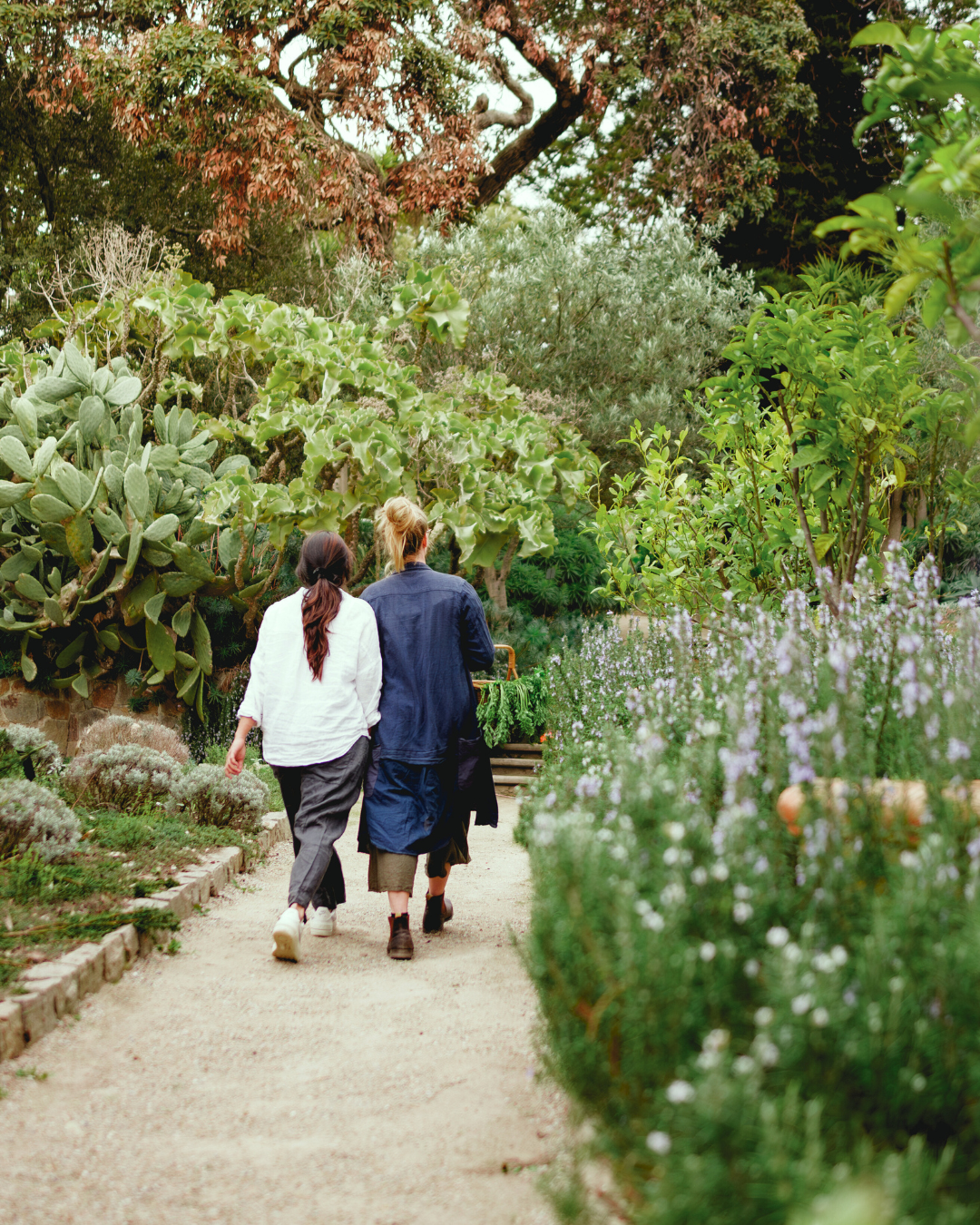 Garden Tours at Heronswood