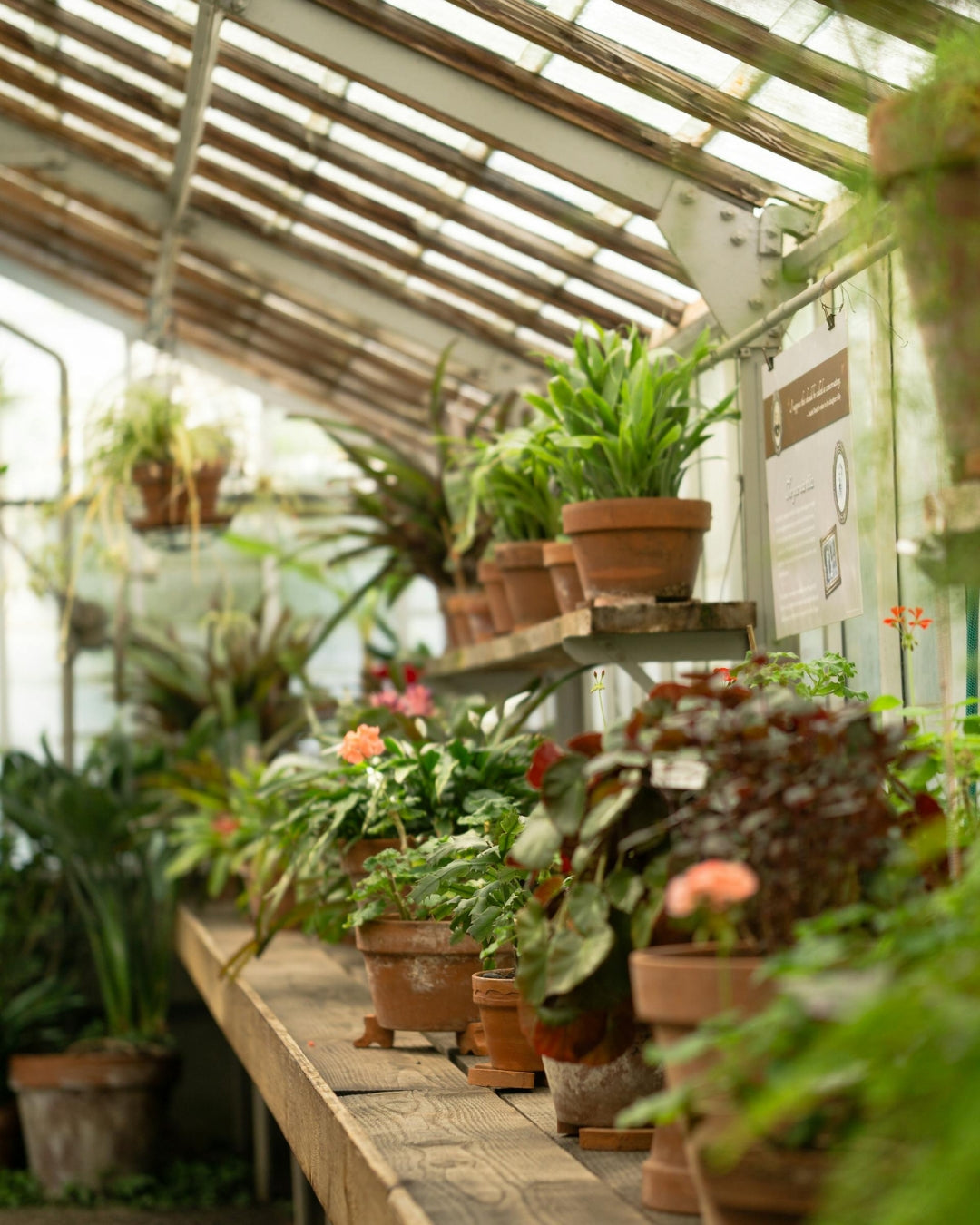 The Perfect Mixes for Container Gardens (Webinar)