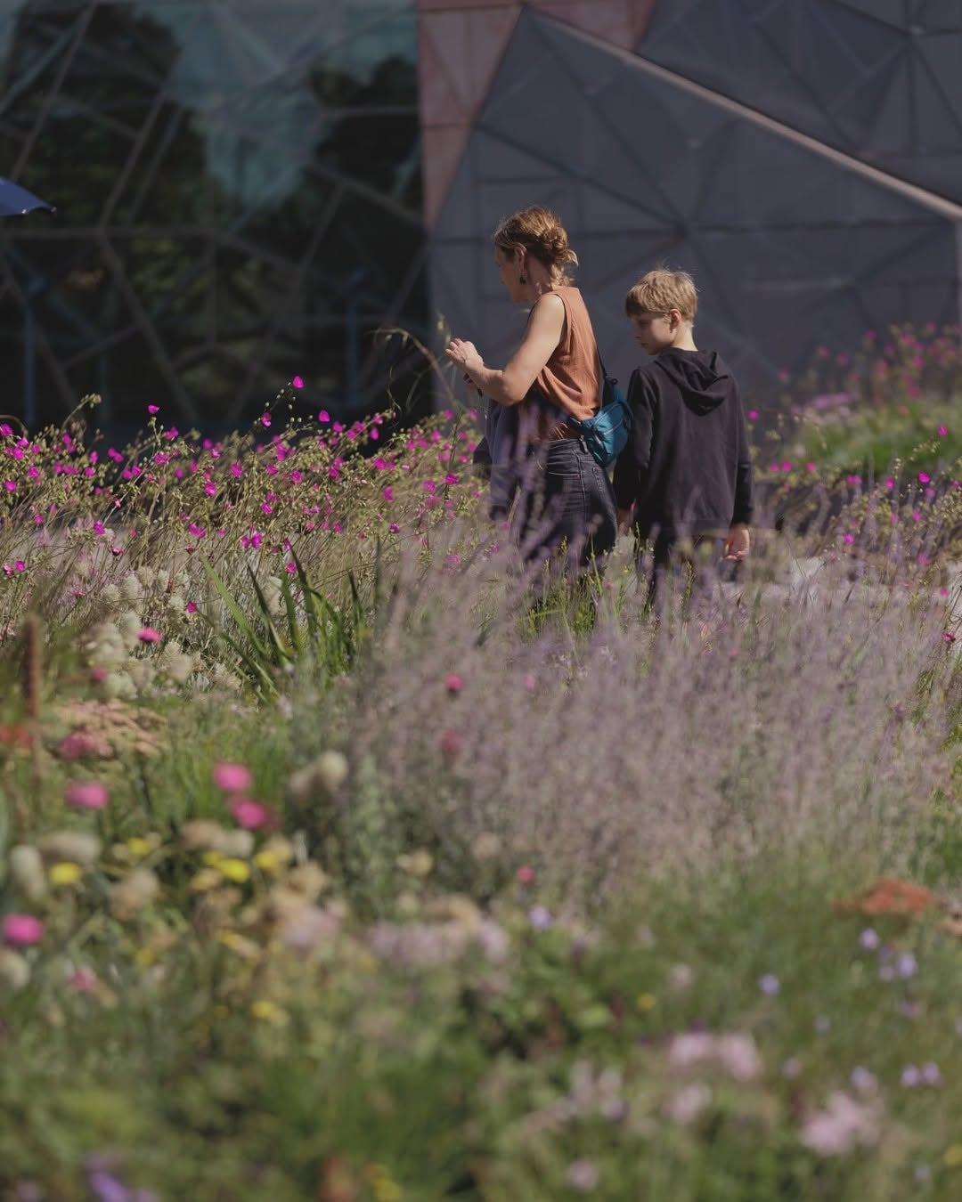 Looking after Laak Boorndap (Webinar)