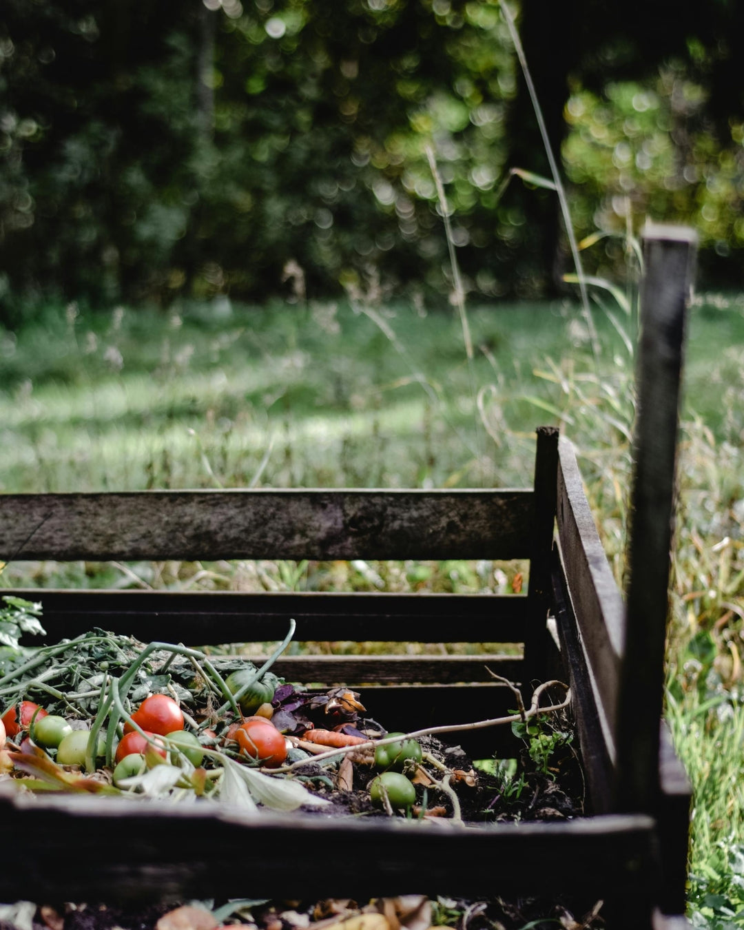 Ingredients for a Healthy Garden