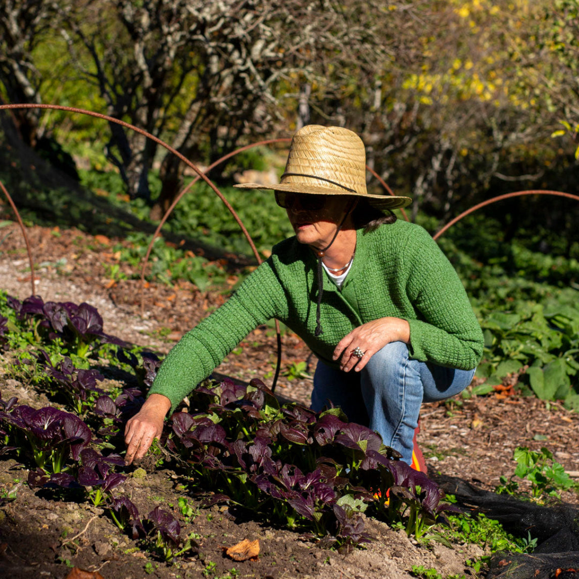 Gardening for Self-Care: Digging Deeper into Wellbeing Through Plants, Practice and Reflection