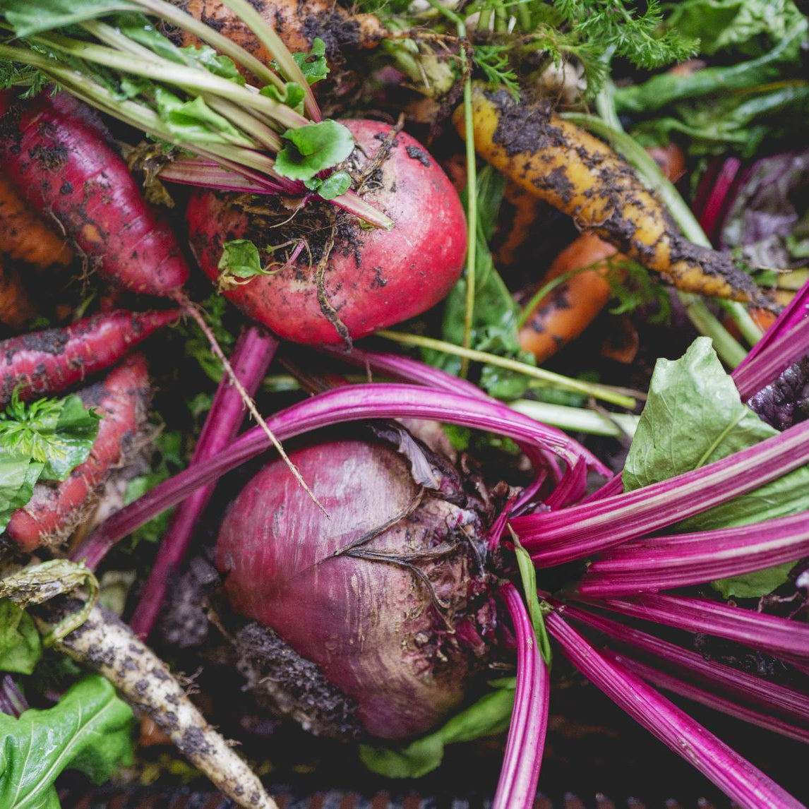 Growing Food