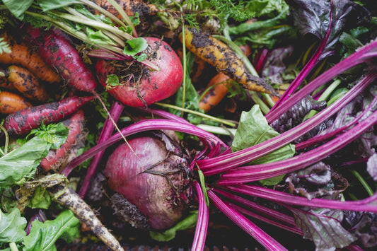 Growing Food - Monthly Webinar