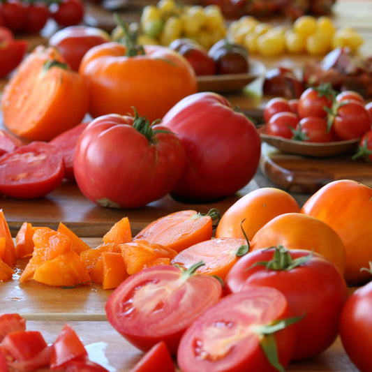 Unwrapping the joy of heirloom tomatoes - Dromana - 18 Oct 2026