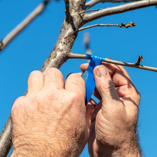 The Art of Grafting - Blackwood - 13 September 2026