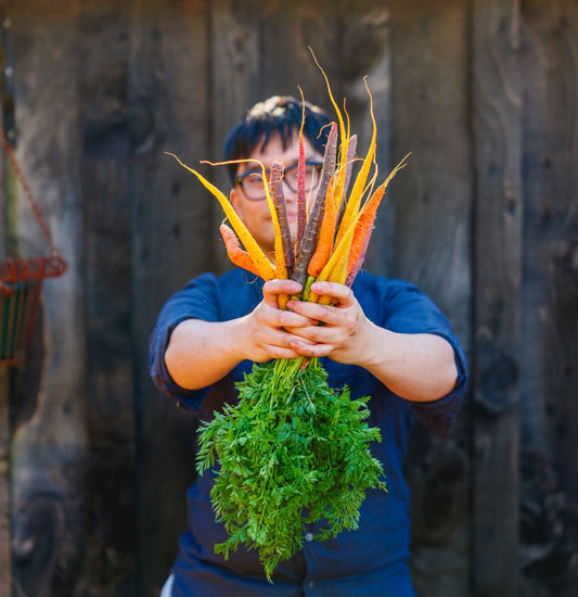 Growing food all year round - Adelaide - 15 Nov 2026