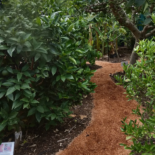 Design your own food forest