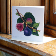 Greeting Cards by Amy C. Duncan