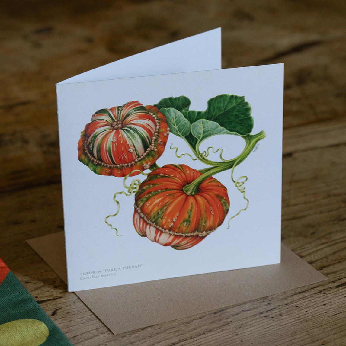 Greeting Cards by Amy C. Duncan