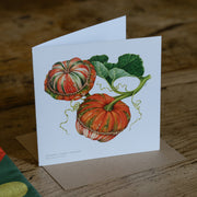 Greeting Cards by Amy C. Duncan