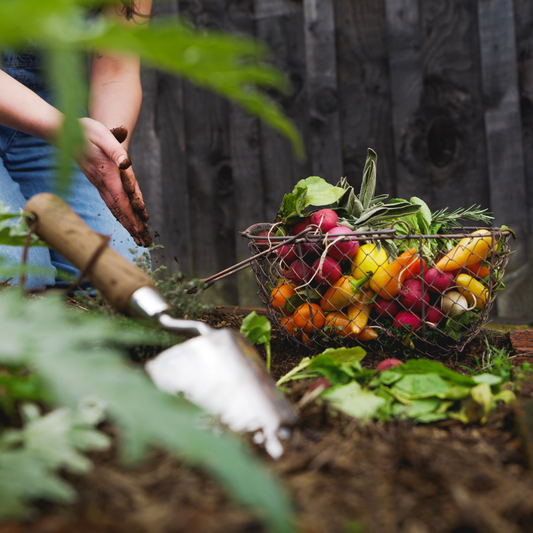 Growing food all year round - Dromana - SOLD OUT