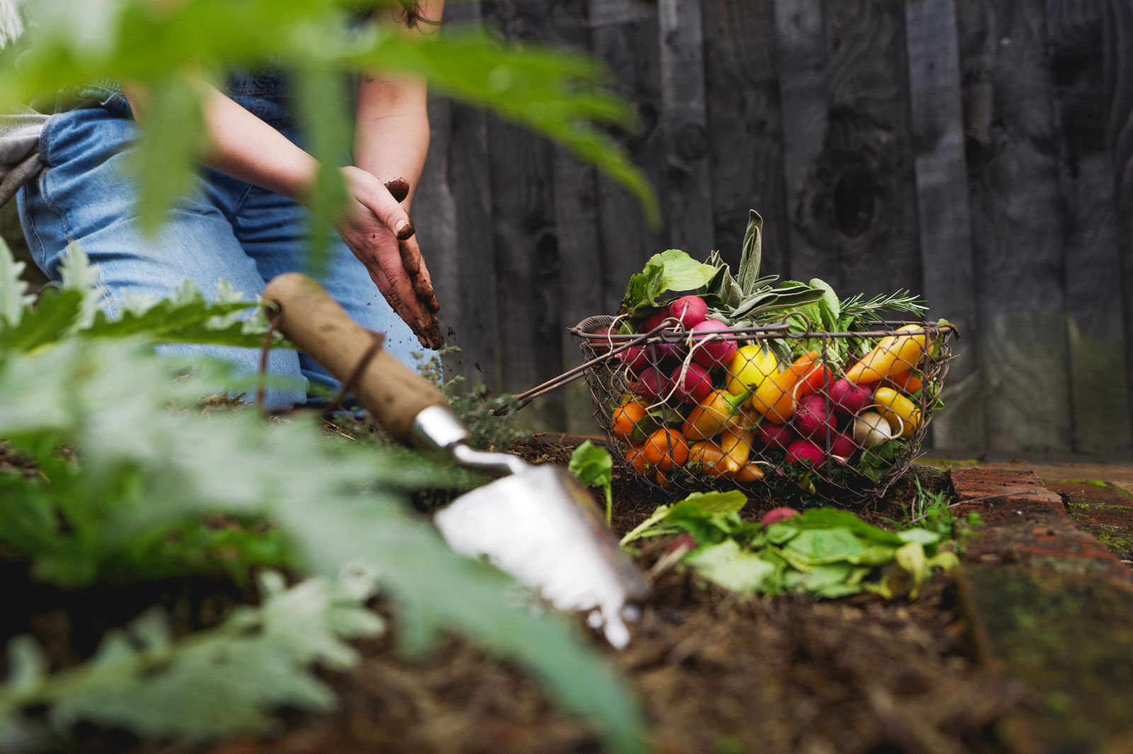 Growing food all year round - Heronswood, Dromana