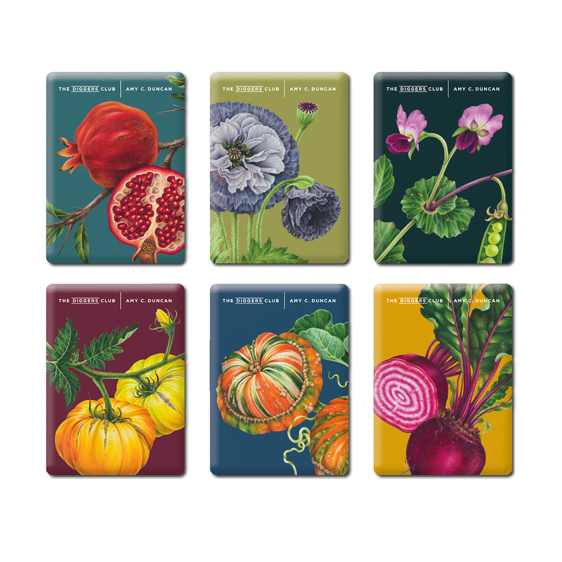 Magnets by Amy C. Duncan