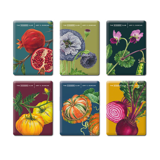 Magnets by Amy C. Duncan