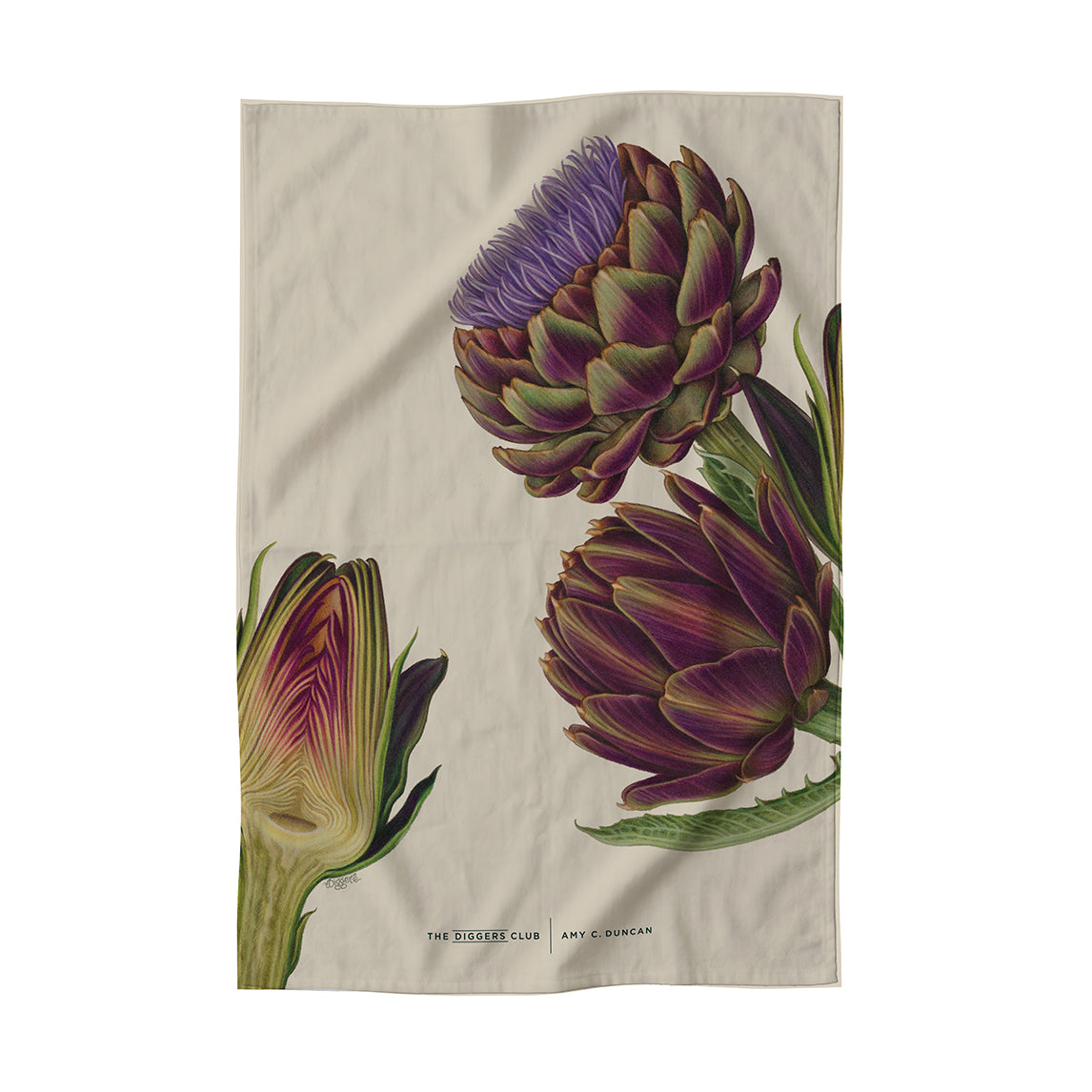 Tea Towels by Amy C. Duncan