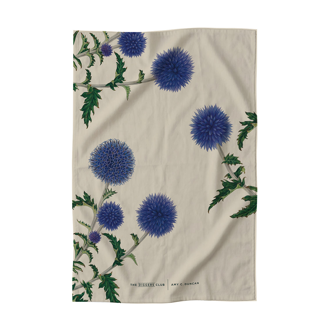 Tea Towels by Amy C. Duncan