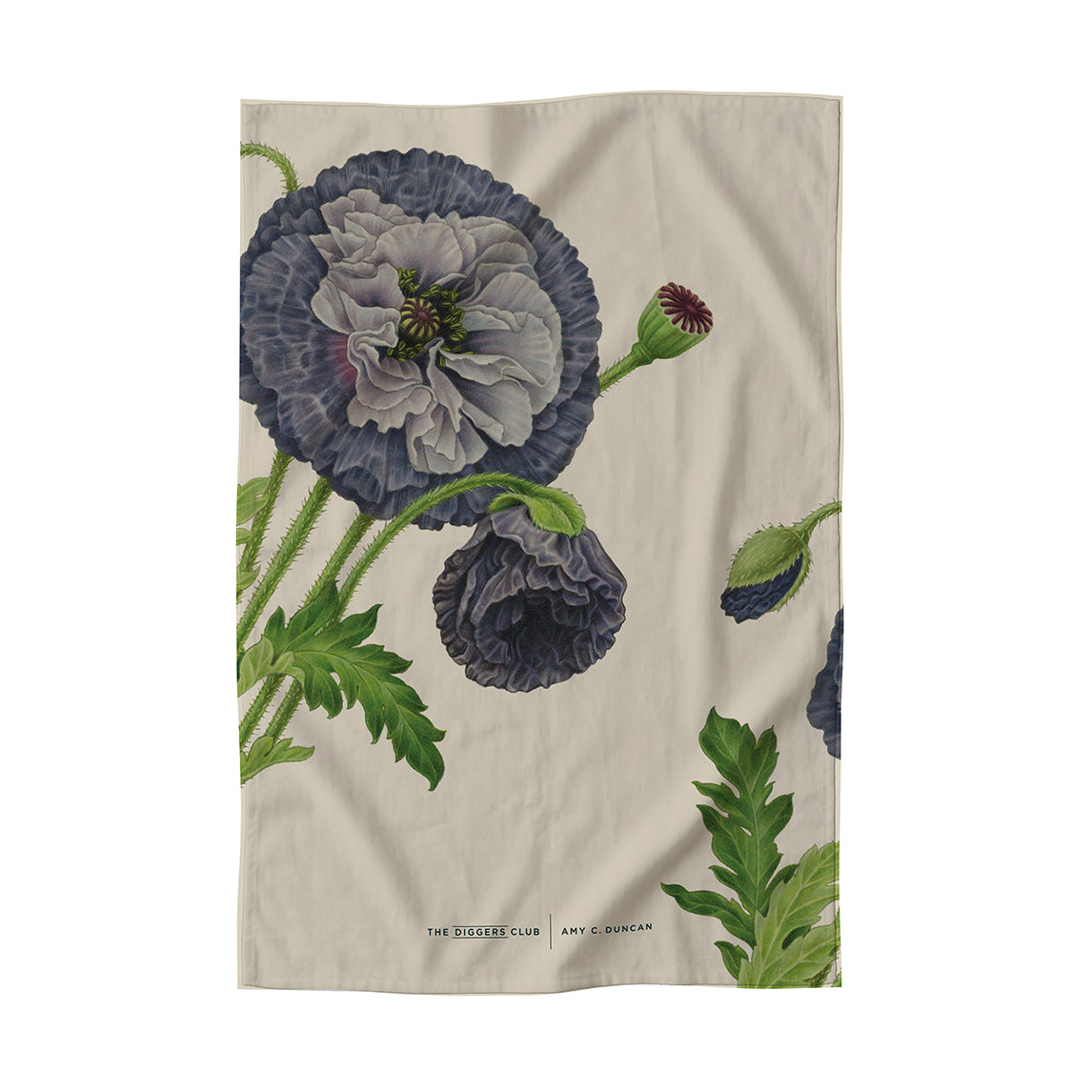 Tea Towels by Amy C. Duncan
