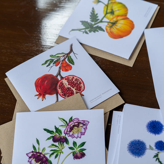 Greeting Cards by Amy C. Duncan