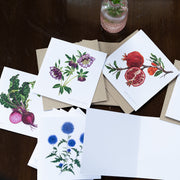 Greeting Cards by Amy C. Duncan