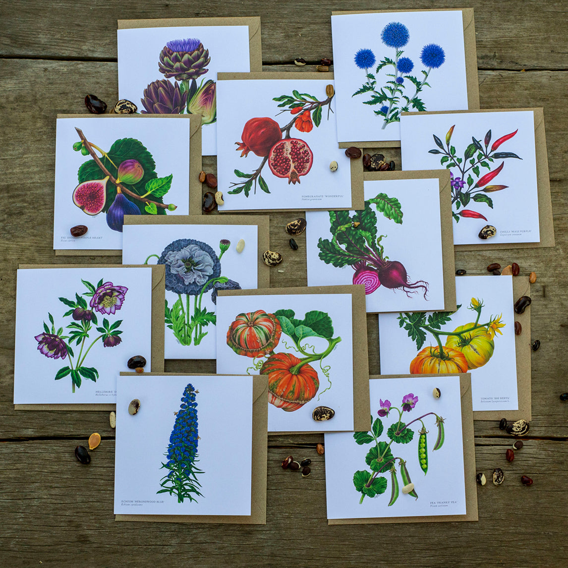 Greeting Cards by Amy C. Duncan