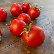 Tomato 'Angora Super Sweet'