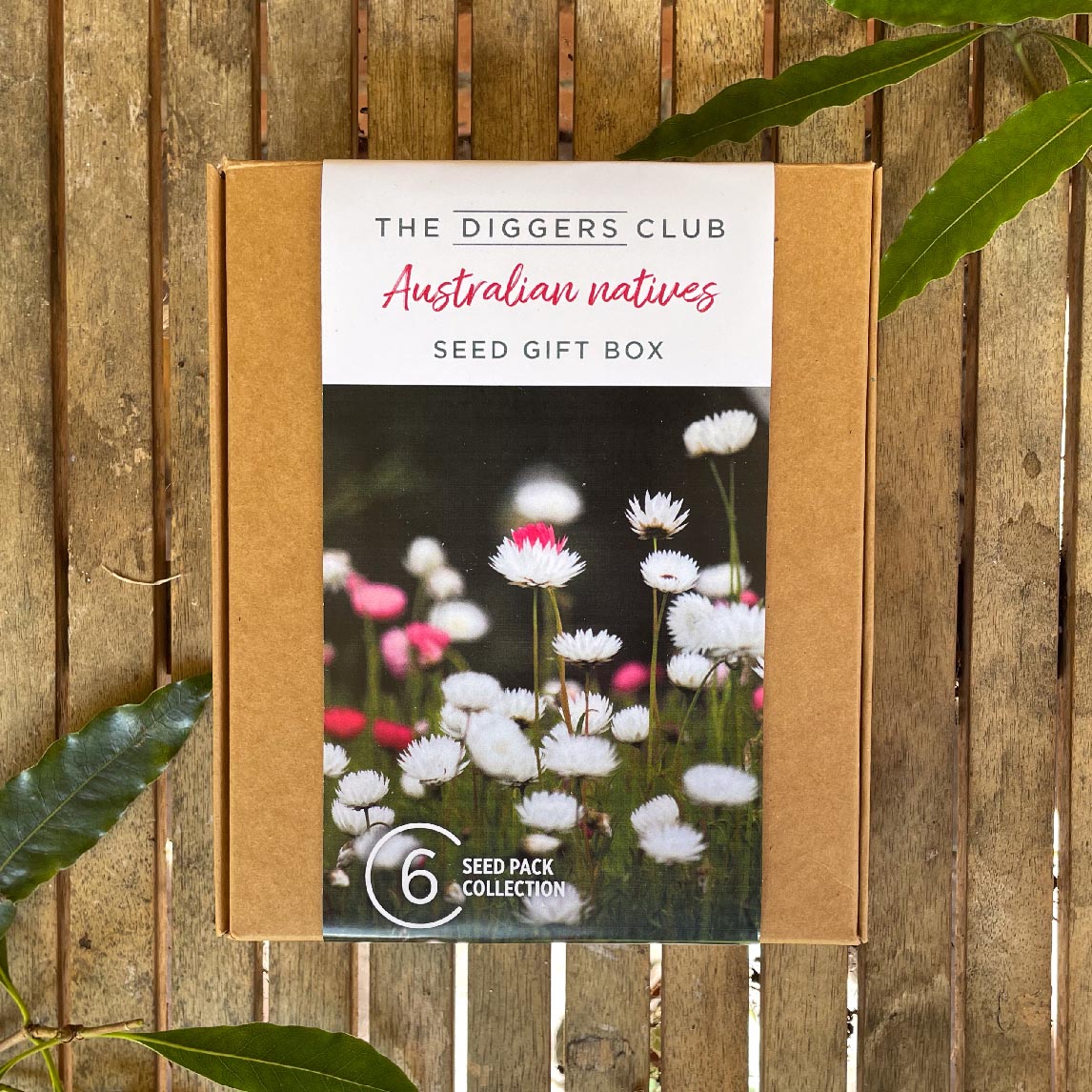 Australian Native Seed Gift Box