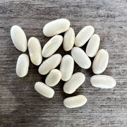 Bean 'Blue Lake' Climbing (Organic)