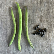 Bean 'Cherokee Trail Of Tears' (Organic)