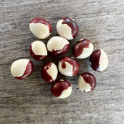 Bean 'Frost' (Organic)