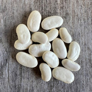 Bean 'Haricot' (Organic)