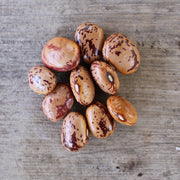 Bean 'Speckled Cranberry' (Organic)
