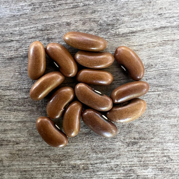 Bean 'Stringless Pioneer' - The Diggers Club
