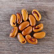 Bean 'Tiger's Eye' (Organic)