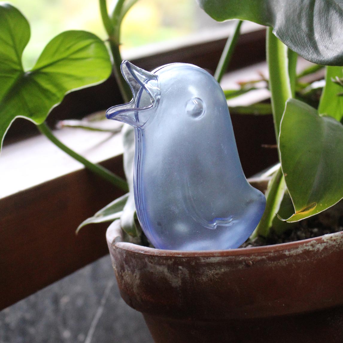Bird Water Spike