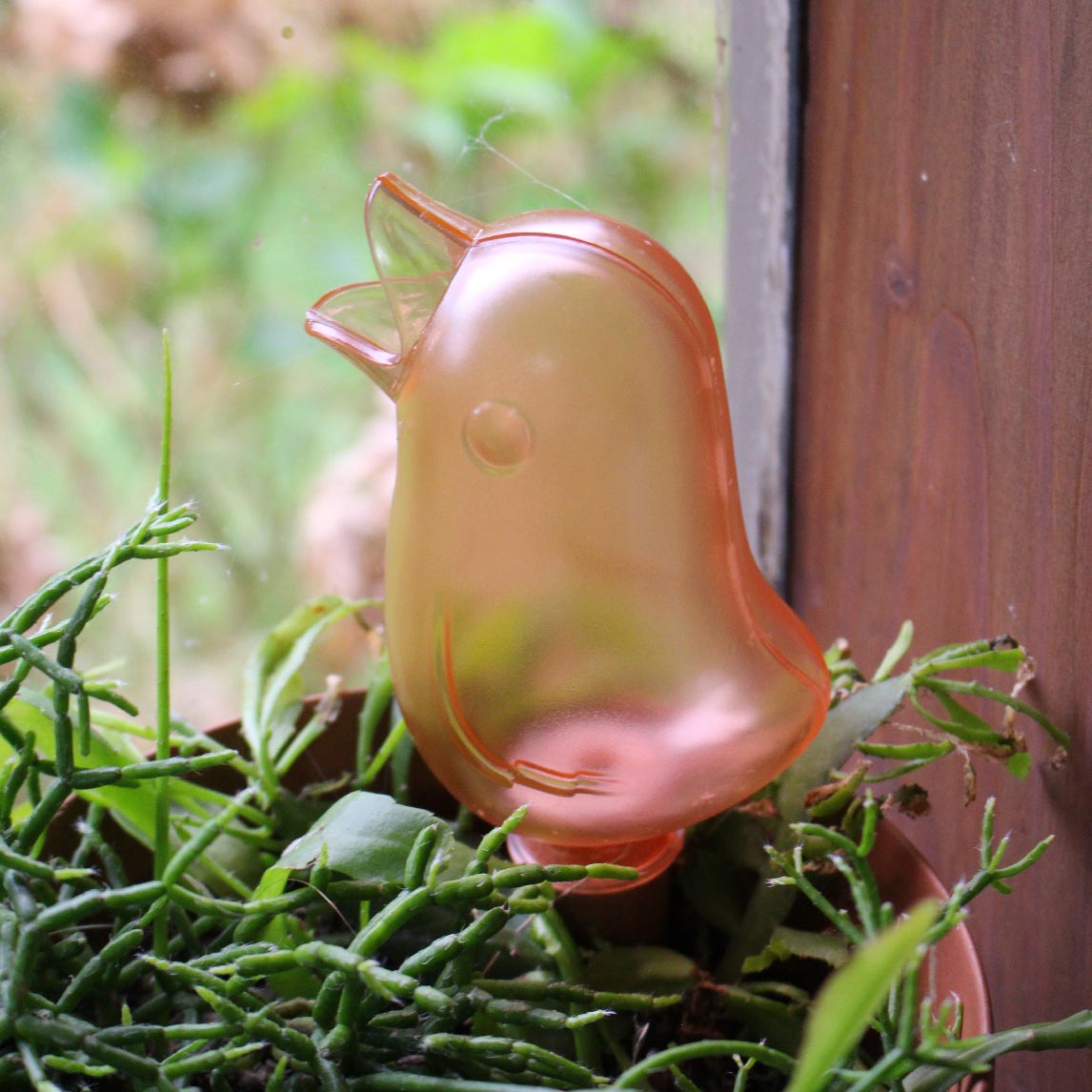 Bird Water Spike