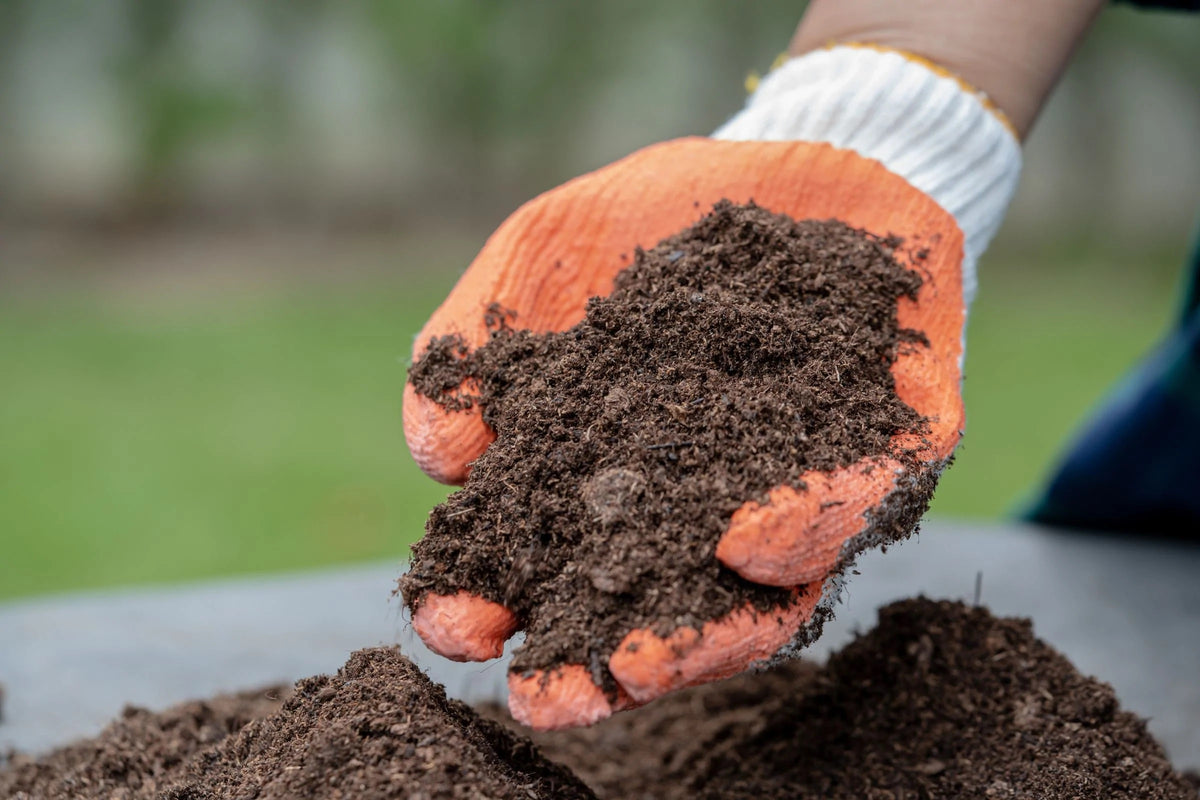 Building healthy soils workshop