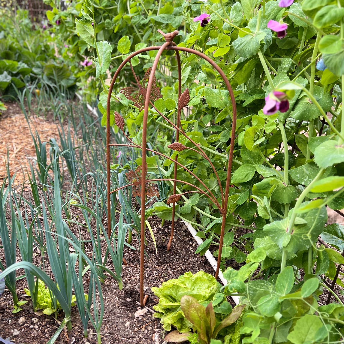 Growing Frames