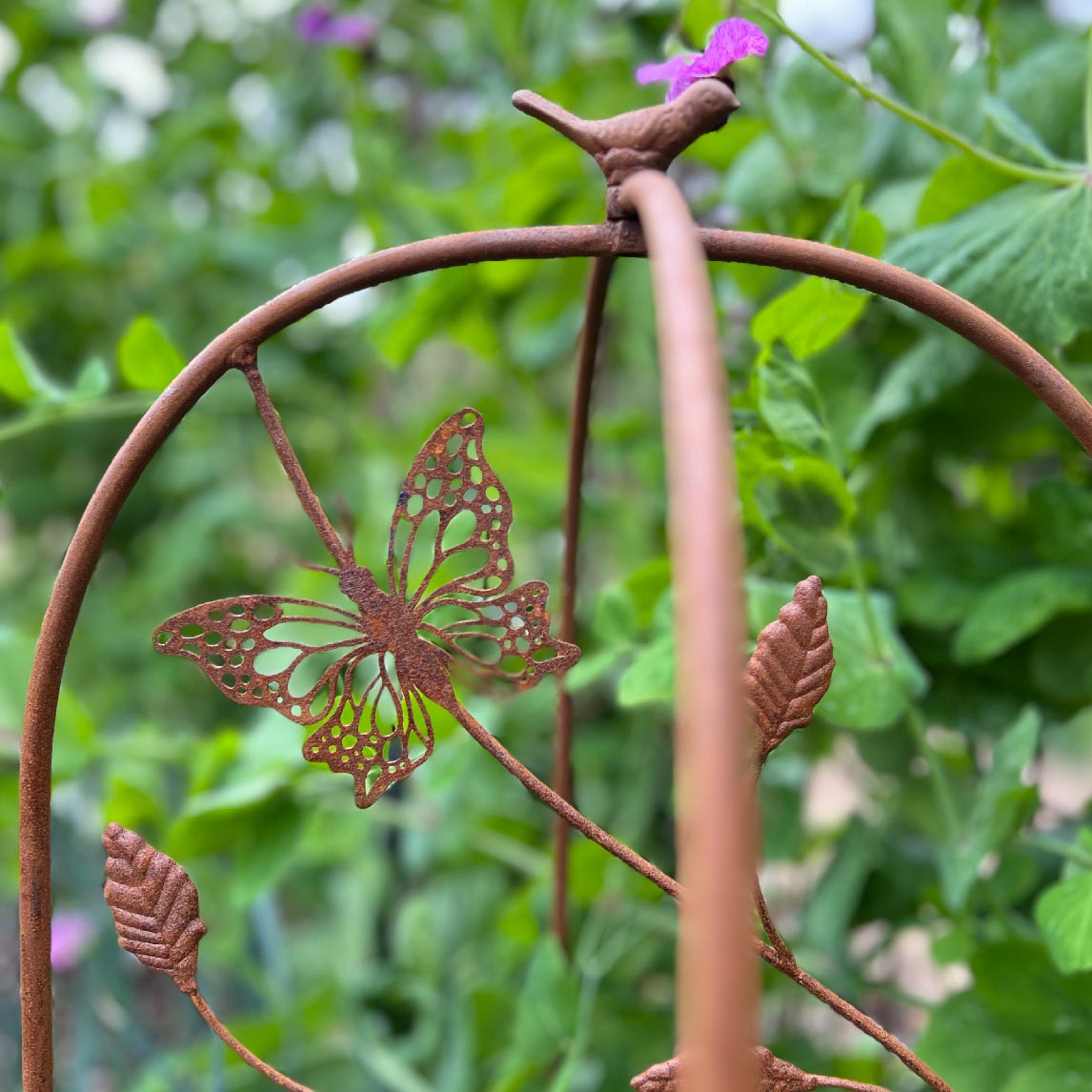 Growing Frames
