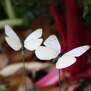 CABBAGE WHITE BUTTERFLY - 3 packs of 6