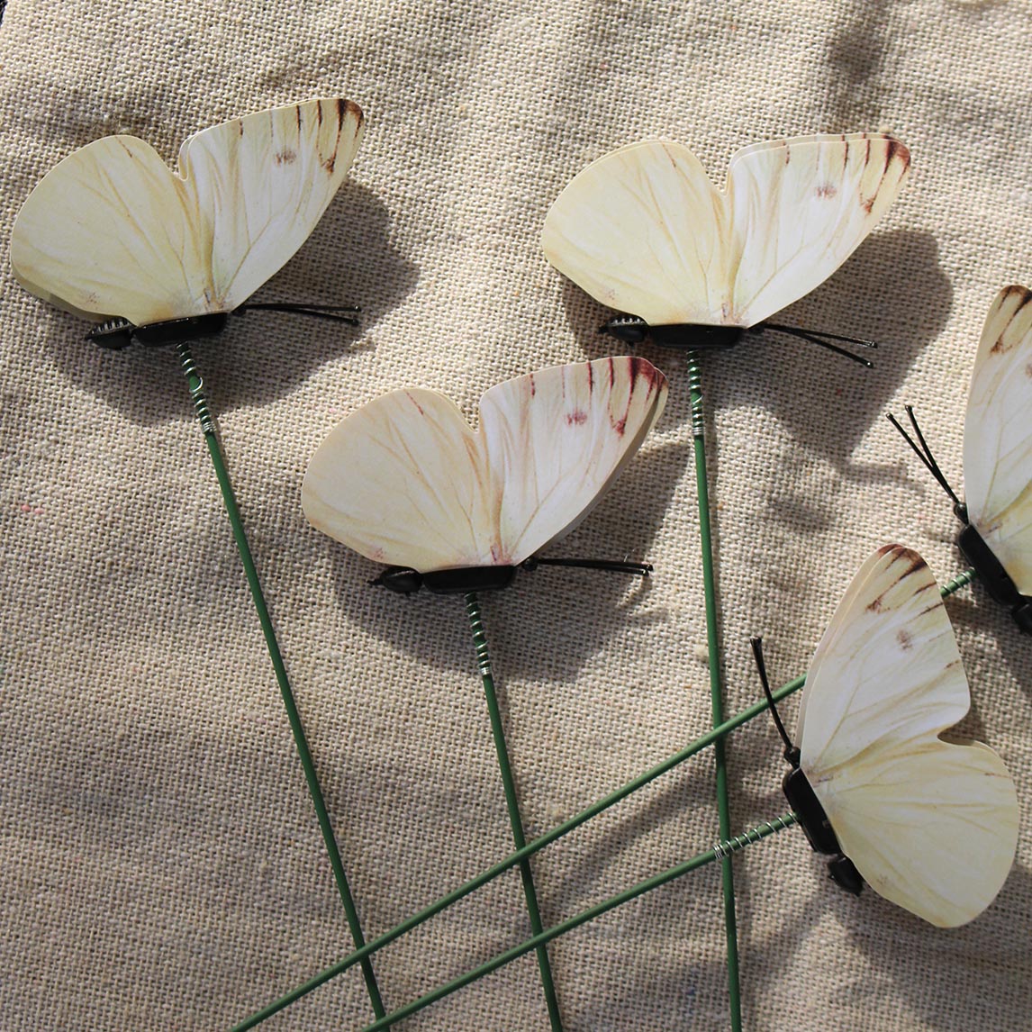 CABBAGE WHITE BUTTERFLY - 3 packs of 6