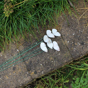 CABBAGE WHITE BUTTERFLY - 3 packs of 6