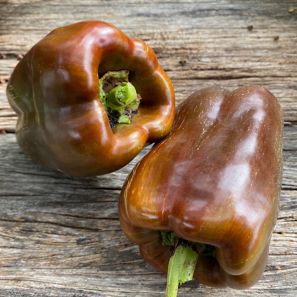 Capsicum Seven Colour Mix