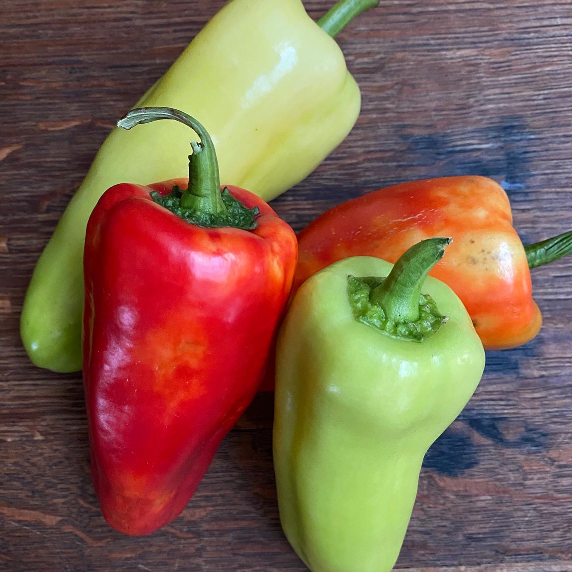 Capsicum Seven Colour Mix