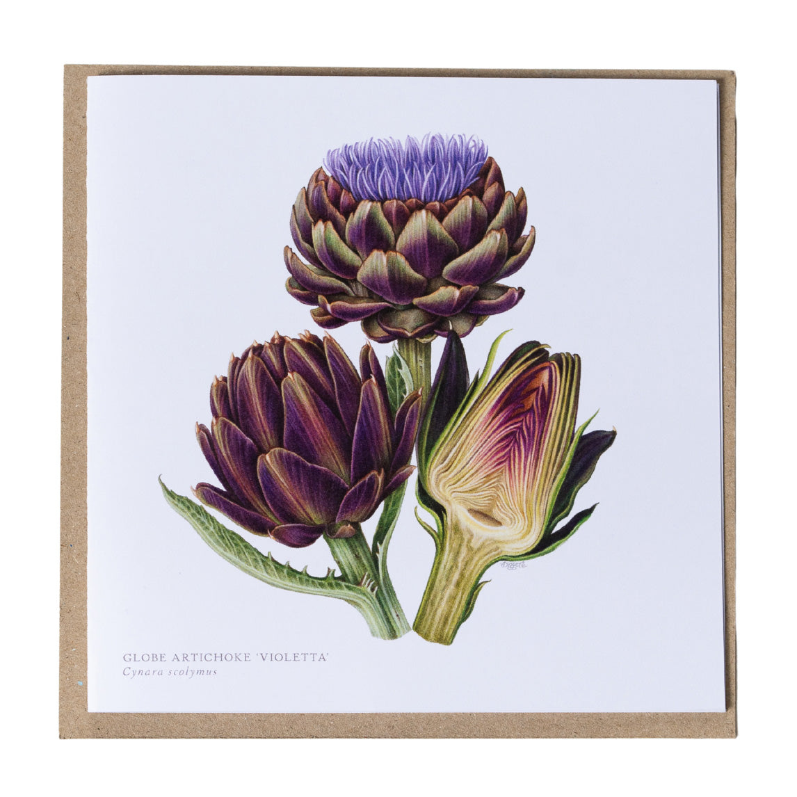 Greeting Cards by Amy C. Duncan