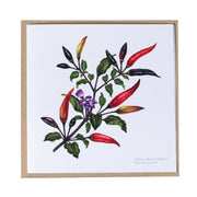 Greeting Cards by Amy C. Duncan