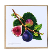 Greeting Cards by Amy C. Duncan