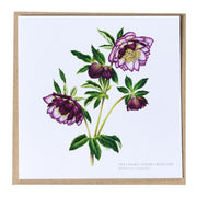 Greeting Cards by Amy C. Duncan