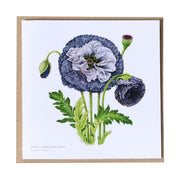 Greeting Cards by Amy C. Duncan