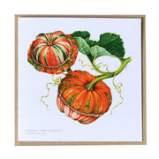 Greeting Cards by Amy C. Duncan
