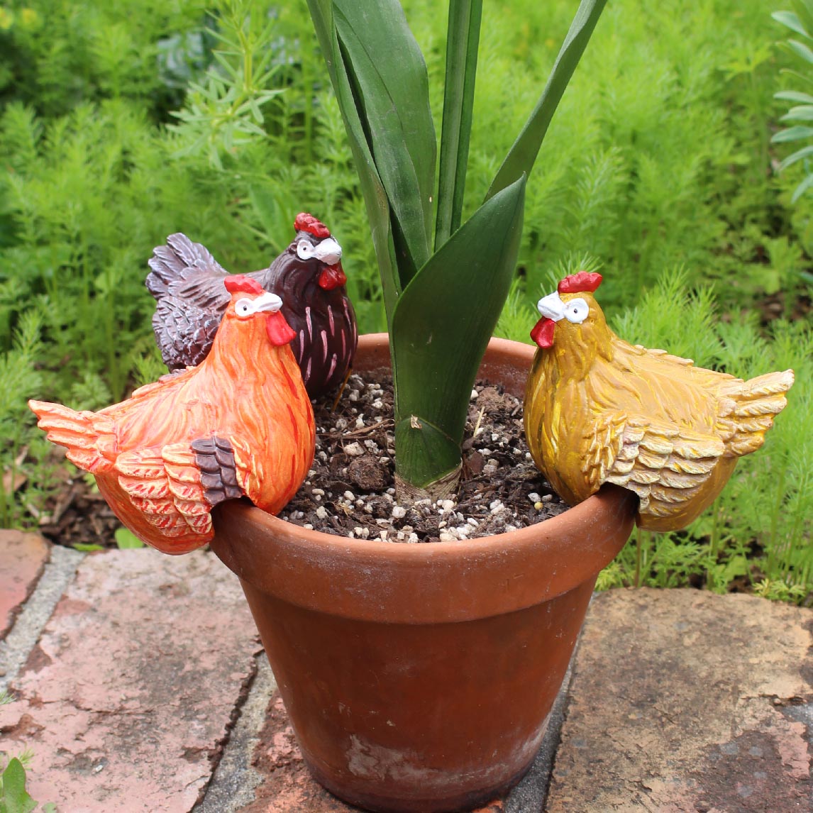 Chicken Pot Sitter - Set of 3